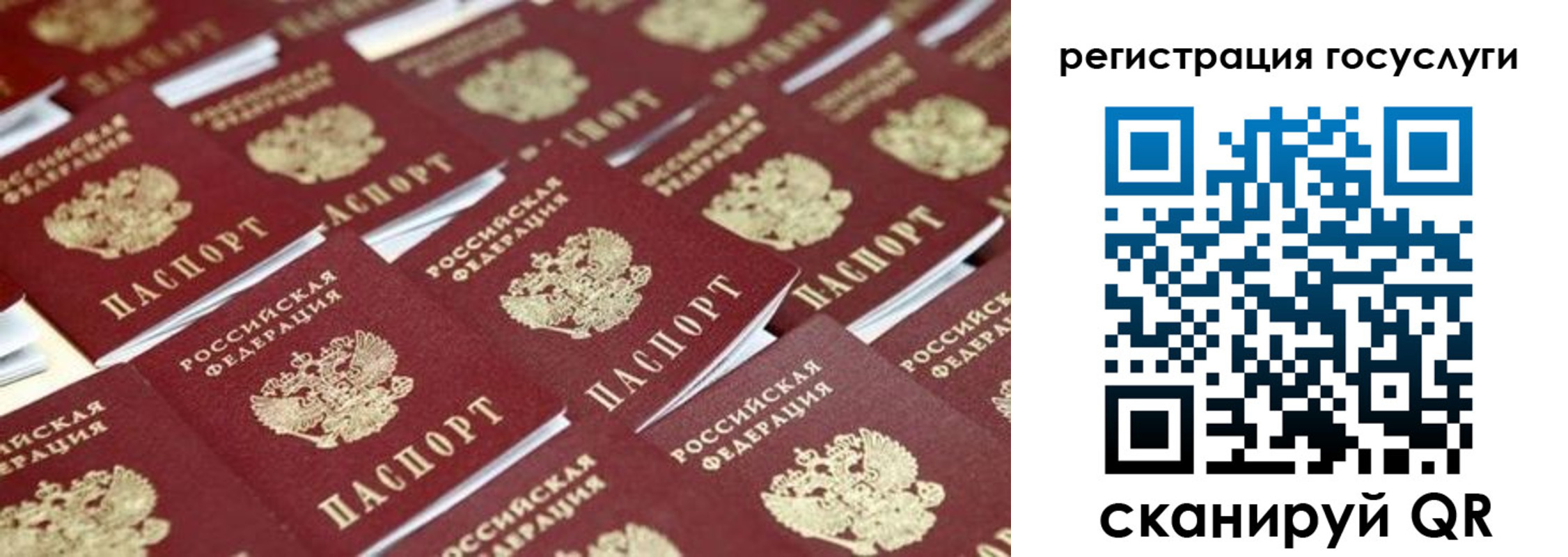 прописка 2025 в Воронеже